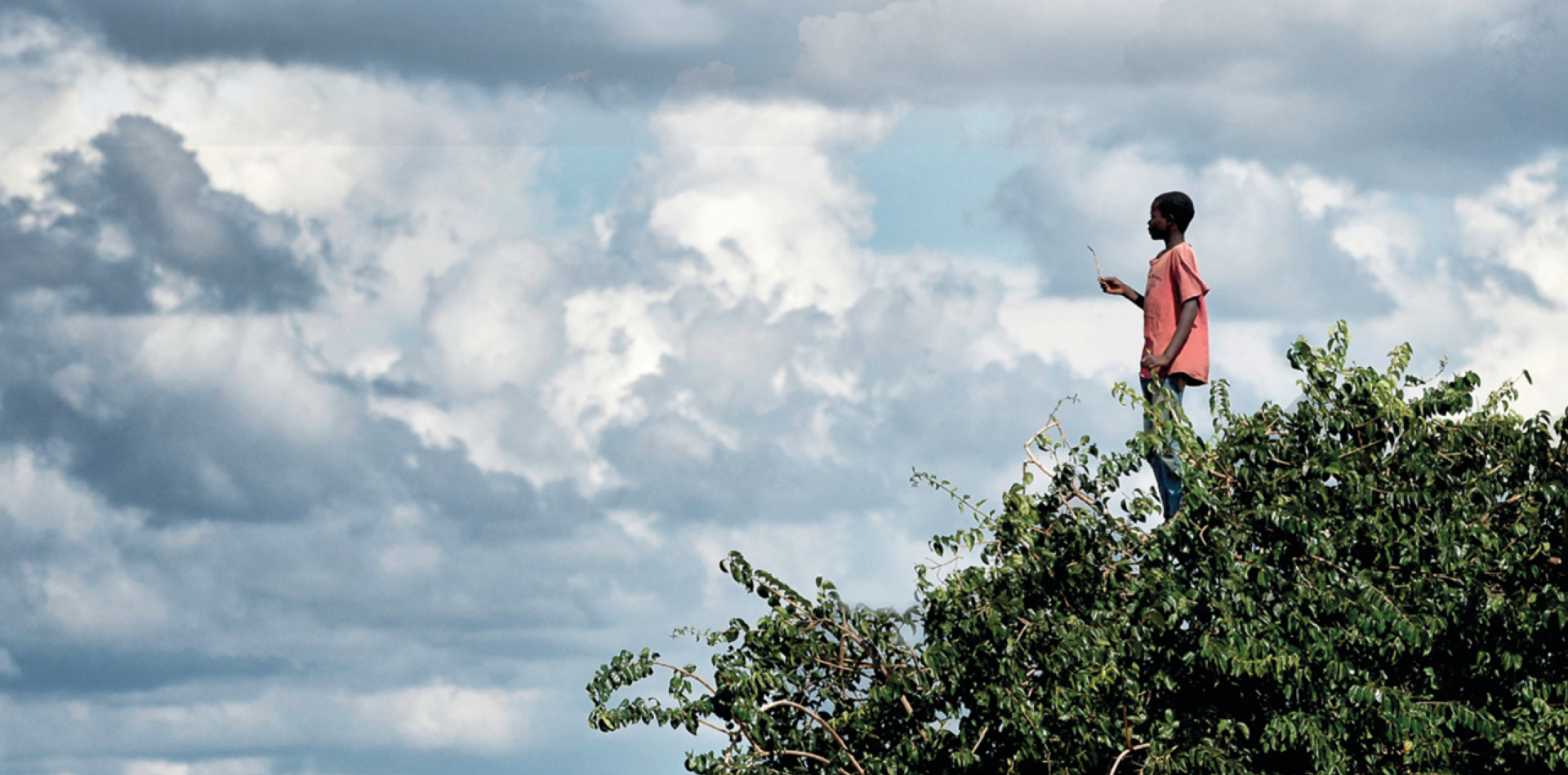 Photographie illustrative du printemps des poètes 2026. Sur un ciel nuageux, un petit garçon se tient en haut d'un arbre.