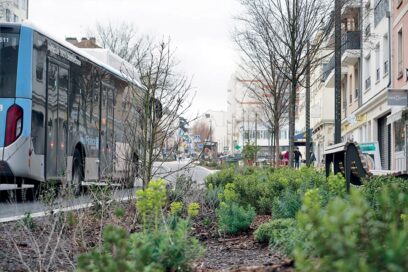 Agrandir l'image, fenêtre modale