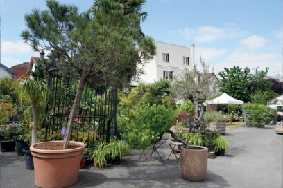 Des pots avec des arbustres devant les serres municipales. - Agrandir l'image, fenêtre modale