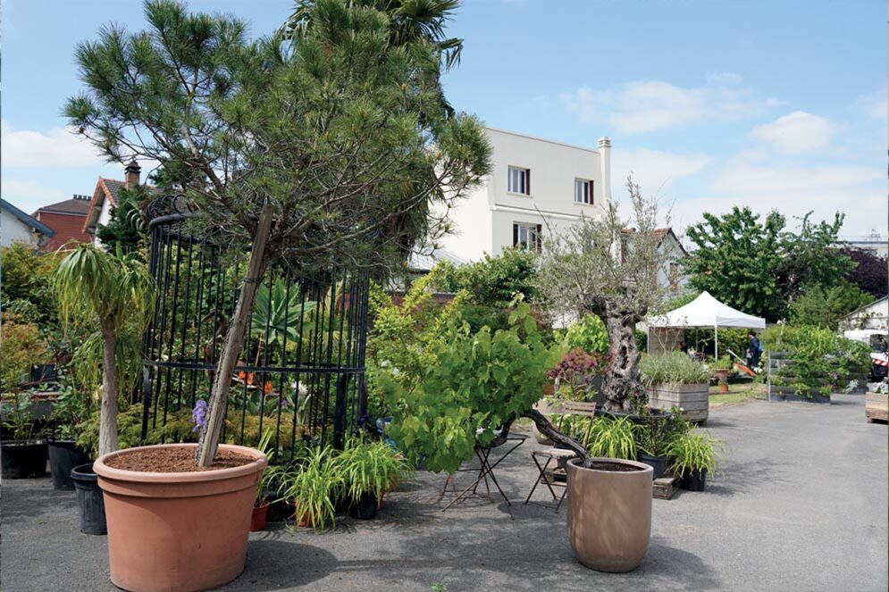 Des pots avec des arbustres devant les serres municipales.