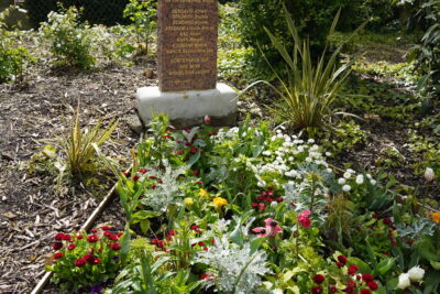 Agrandir l'image 5 sur 5, fenêtre modale