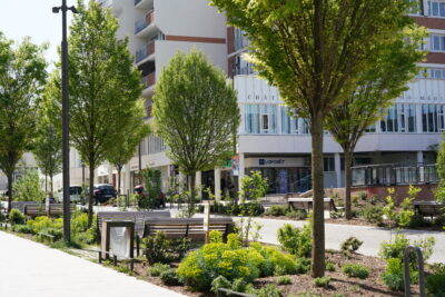 Agrandir l'image 1 sur 4, fenêtre modale