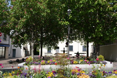 Agrandir l'image 4 sur 4, fenêtre modale