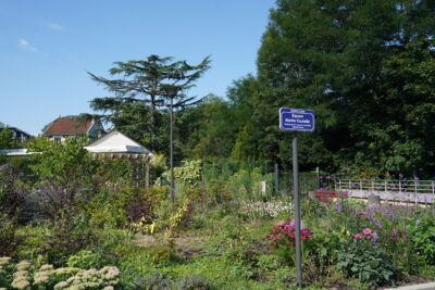 Agrandir l'image 1 sur 5, fenêtre modale