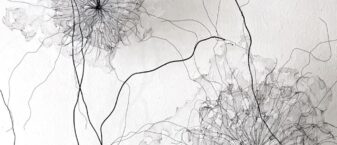 détail oeuvre de Frédérique Gourdon. Des fleurs noires sur un fond blanc.