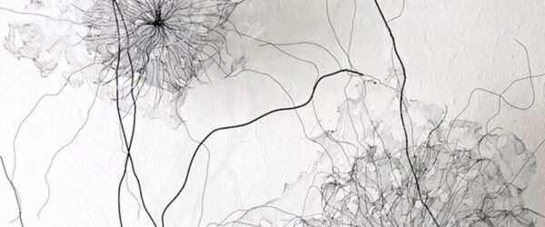 detail d'une oeuvre de frédéric gourdon, représentant des formes évoquant des fleurs, noires sur fond blanc.