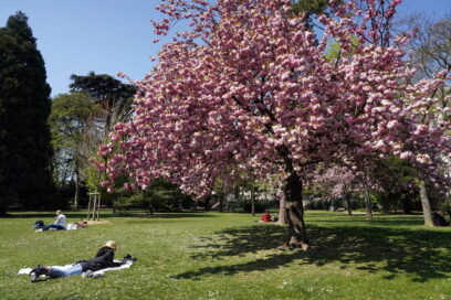 Agrandir l'image, fenêtre modale