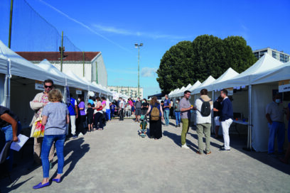 Agrandir l'image, fenêtre modale