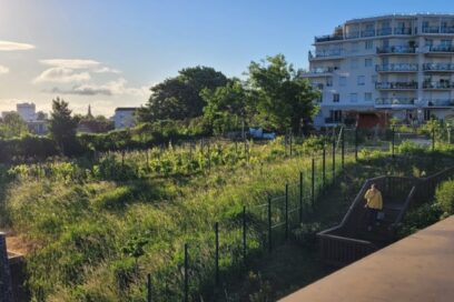 Agrandir l'image, fenêtre modale