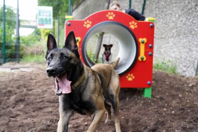 Agrandir l'image, fenêtre modale