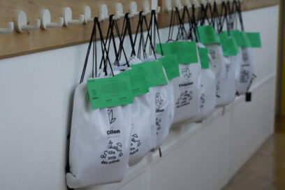 Agrandir l'image, fenêtre modale