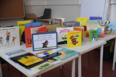 Agrandir l'image, fenêtre modale