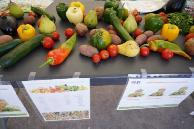 Agrandir l'image 43 sur 77, fenêtre modale