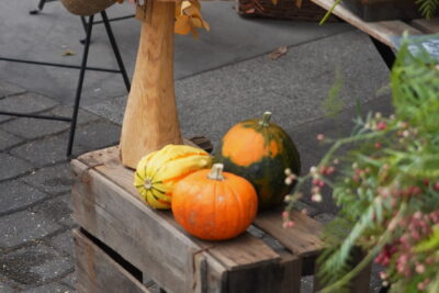 Agrandir l'image 3 sur 29, fenêtre modale