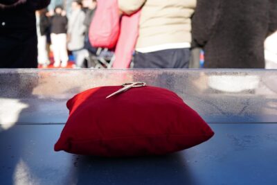 Agrandir l'image 9 sur 18, fenêtre modale