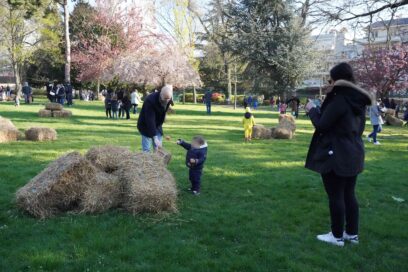 Agrandir l'image, fenêtre modale