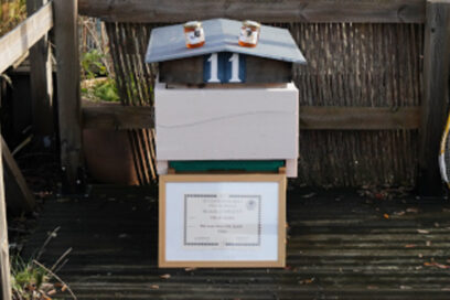 Ruche numéro 11 et diplôme de la médaille d'argent - Agrandir l'image, fenêtre modale