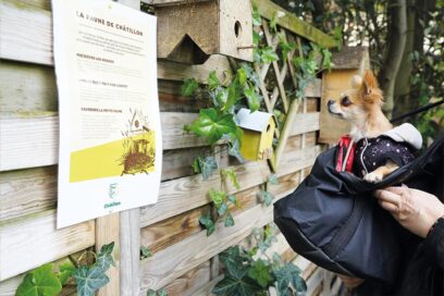 Agrandir l'image, fenêtre modale