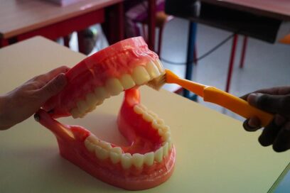 Agrandir l'image, fenêtre modale