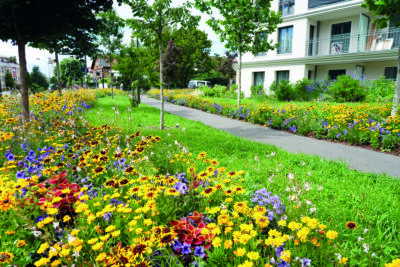 Agrandir l'image 3 sur 5, fenêtre modale