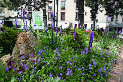 Agrandir l'image 4 sur 5, fenêtre modale