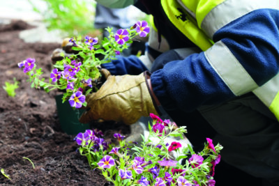 Agrandir l'image 5 sur 5, fenêtre modale