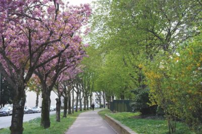 Agrandir l'image 2 sur 5, fenêtre modale